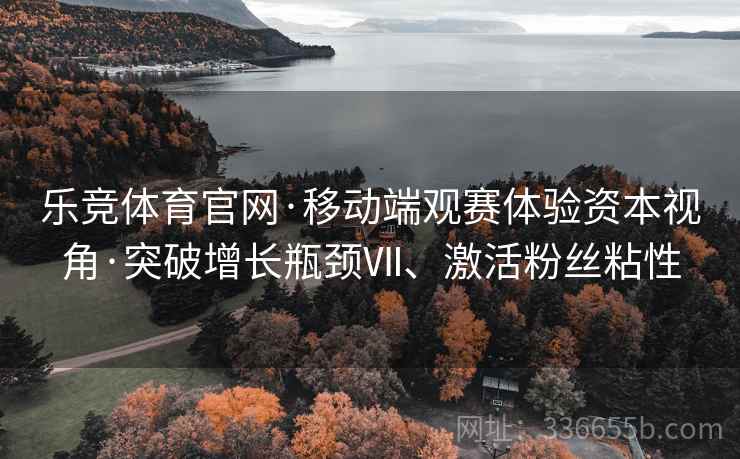 乐竞体育官网·移动端观赛体验资本视角·突破增长瓶颈Ⅶ、激活粉丝粘性