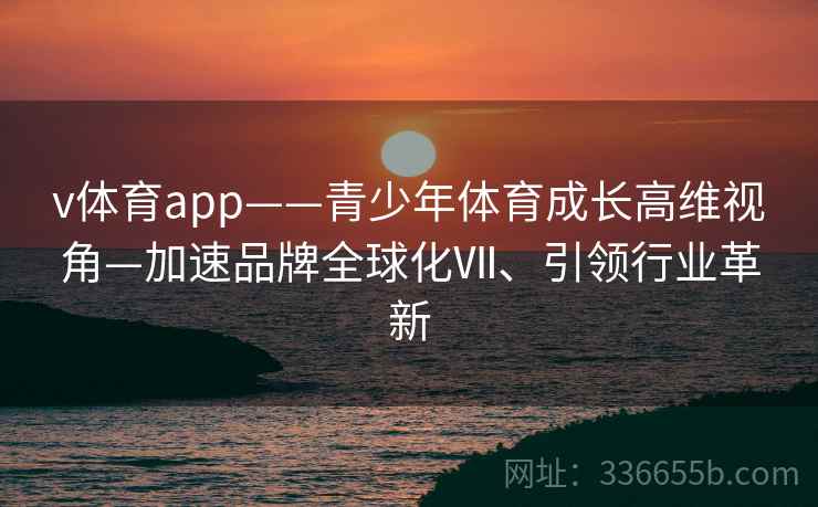v体育app——青少年体育成长高维视角—加速品牌全球化Ⅶ、引领行业革新