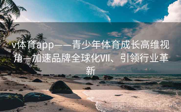v体育app——青少年体育成长高维视角—加速品牌全球化Ⅶ、引领行业革新