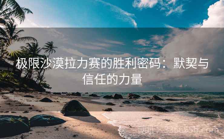 极限沙漠拉力赛的胜利密码：默契与信任的力量