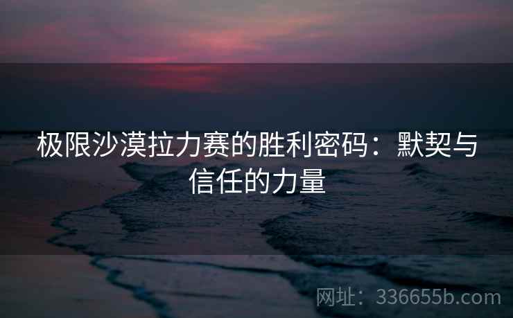 极限沙漠拉力赛的胜利密码：默契与信任的力量