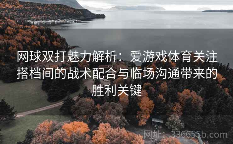 网球双打魅力解析：爱游戏体育关注搭档间的战术配合与临场沟通带来的胜利关键