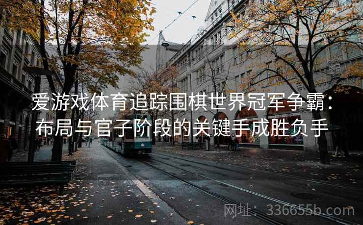 爱游戏体育追踪围棋世界冠军争霸：布局与官子阶段的关键手成胜负手