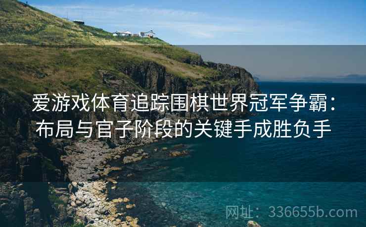 爱游戏体育追踪围棋世界冠军争霸：布局与官子阶段的关键手成胜负手
