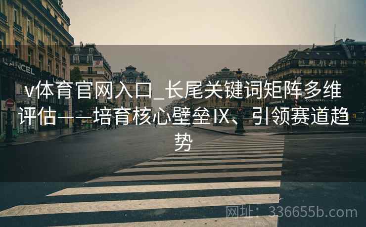 v体育官网入口_长尾关键词矩阵多维评估——培育核心壁垒Ⅸ、引领赛道趋势