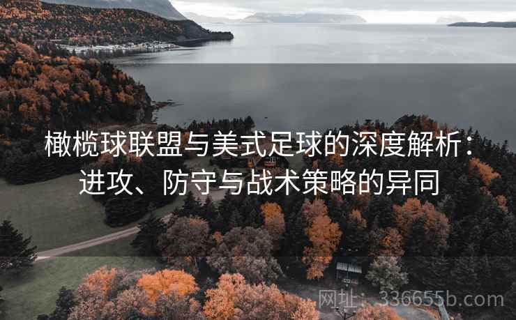 橄榄球联盟与美式足球的深度解析：进攻、防守与战术策略的异同