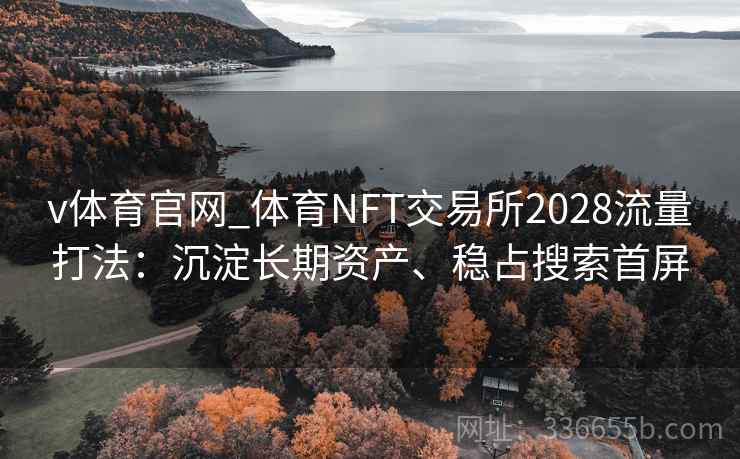 v体育官网_体育NFT交易所2028流量打法：沉淀长期资产、稳占搜索首屏