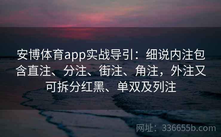 安博体育app实战导引：细说内注包含直注、分注、街注、角注，外注又可拆分红黑、单双及列注