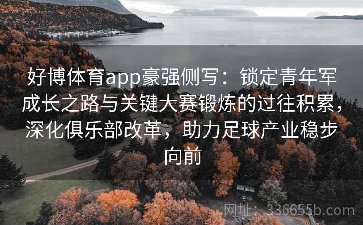 好博体育app豪强侧写：锁定青年军成长之路与关键大赛锻炼的过往积累，深化俱乐部改革，助力足球产业稳步向前